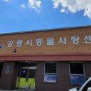 댕댕클럽 이미지