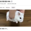 두둥 이미지
