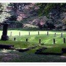 춘기농장 이미지