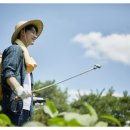 신부농농자재 이미지