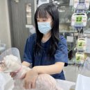 하 수의과 동물병원 | 서울 송천동 동물병원 전기항암치료로 암 치료의 새로운 길을 엽니다