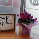 보리네펫미용 이미지