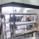 산소농장 이미지