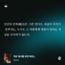 베를린 | 베를린 영화제 후기 그리고 베를린 여행!