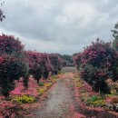 동백분식 이미지