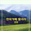 영월 뷰 좋은 카페 &#34;한옥 카페 팔괴리&#34; – 비 오는 날, 마음을 쉬어가는 곳