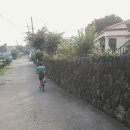 온평리-2 이미지