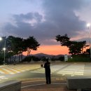 새내기영어 | 대학교 새내기들을 위한 학년 별 꿀팁 [1학년 to 4학년]| 장학금 | 자료 조사 등등