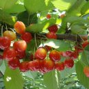 대구해안초등학교 이미지