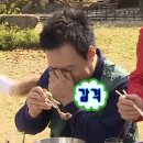 목동역 오가네 돼지국밥 목동법원점 비계국밥(특) 솔직후기