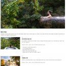 (주) 호반호텔앤리조트 스플라스 리솜Ⅰ | 제천 레스트리 리솜 S20케어룸 + 해브나인스파,별채,웰니스요가,마묵라운지 내돈내산 후기