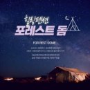 포레스트51