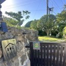 주월담 | 제주도 감성숙소 주월담 자쿠지까지 만족! 내돈내산 인증후기