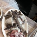 자연정 이미지