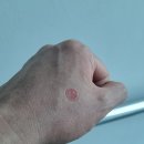 중앙동221 이미지