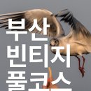 빈티지부산
