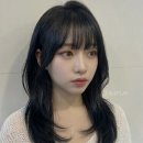 더 디자인 차이