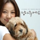 순심이