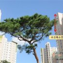 (주)대경조경