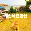 뜰앞바다 이미지