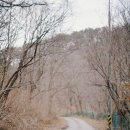 용소골계곡펜션 이미지