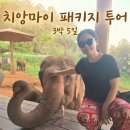 코쿤투어 | 태국 치앙마이 자유여행 패키지 코쿤투어 맞춤 후기!