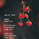 가을 커피 / 윤보영 이미지
