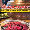 감탄생고기 이미지