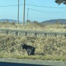 더돌풍수산 | 2박3일🎄크리스마스🎄동계캠핑(wiht.가족 그리고 남편)