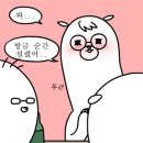 상상플라리움주 | [KT&G 상상유니브 경기]플로리스트클래스 13기 1주차 강의-핸드타이드 부케♡