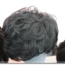 하트모 이미지