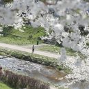 제민천1길 이미지