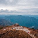 더 세리 호스텔 이미지