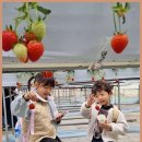 짐앤펀 태권도 | 여수천마태권도장 여수 천마태권도장, 아이들의 건강한 성장을 함께하는 곳