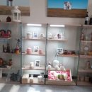 아리아펫 이미지