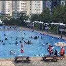 대덕구 산호빛 공원 이미지