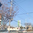 울산골프학교 이미지