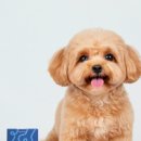 하나메디 이미지