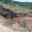 형재 농장 이미지