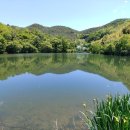 안골농장 이미지