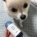 블루세라