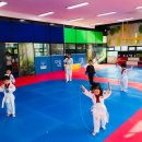 용인대다옴태권도장 이미지