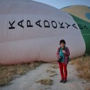 화이트벨리 이미지