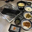 항방양육관 이미지