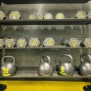 트루머슬짐 이미지