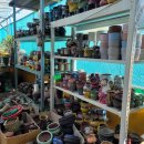 인수다육 이미지