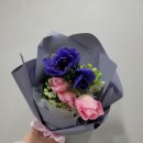 아이디플랜츠 이미지