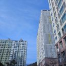 열매마을9단지(아)경로당 | 경산시 노인종합복지관 「마을愛온 디지털 배달부, 스마트한 인생」 찾아가는 디지털 배달부 스마트폰...