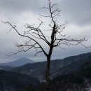 지리산청정농산