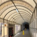 삼진목욕탕 | 겨울 캐리비안베이 주말 후기 윈터스파캐비 with 카피바라 md 굿즈 피에스타 레스토랑 카피바라 어묵바...